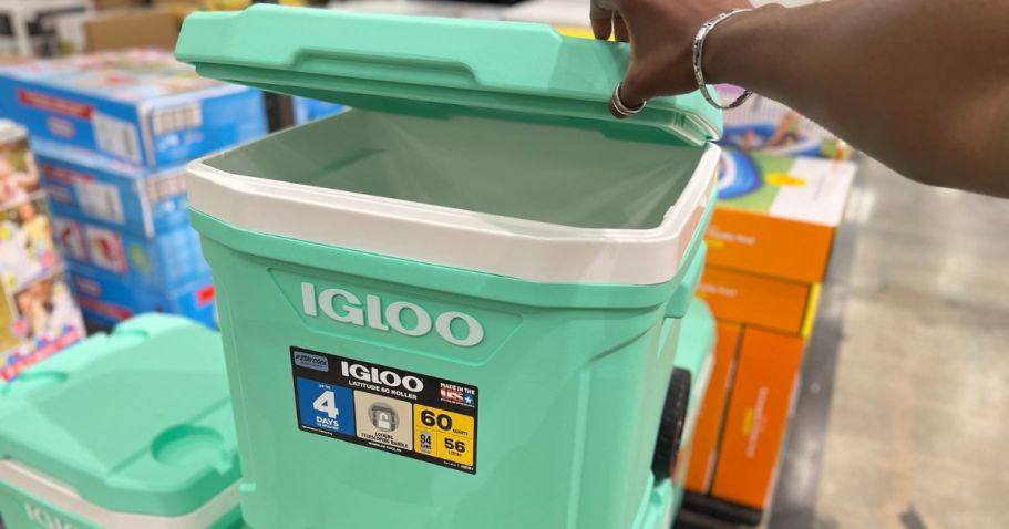Igloo Hard-Sided Coolers in Spring Colors from $15.99 on Target.online – Ends Tonight!