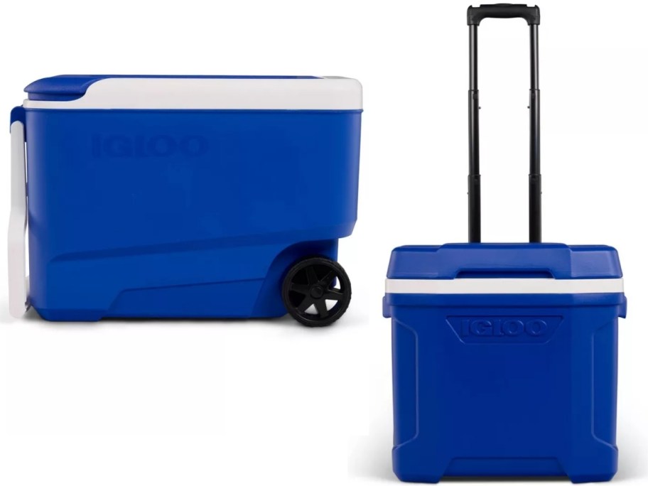 igloo wheelie and latitude rolling coolers in blue