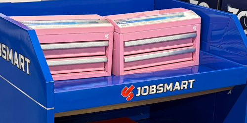 Tractor Supply Has Mini Toolboxes for $14.99 (Like Lowe’s for Less!)