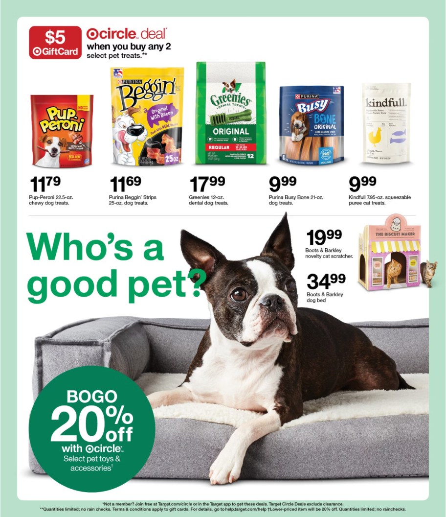 page from Target ad