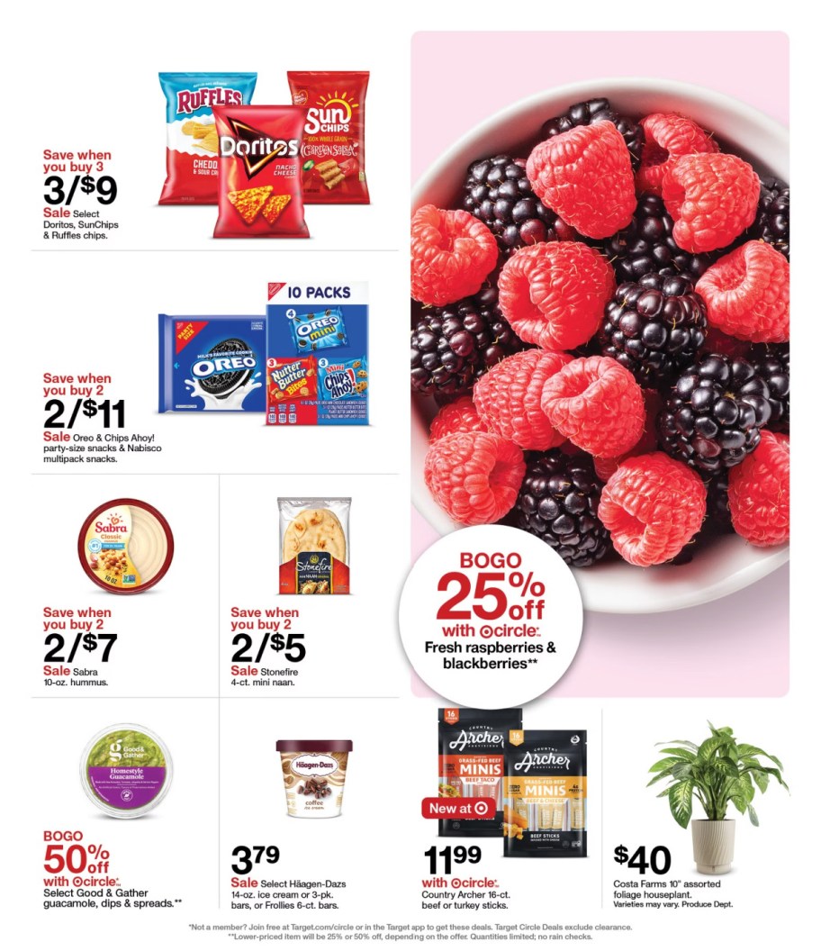 page from Target ad