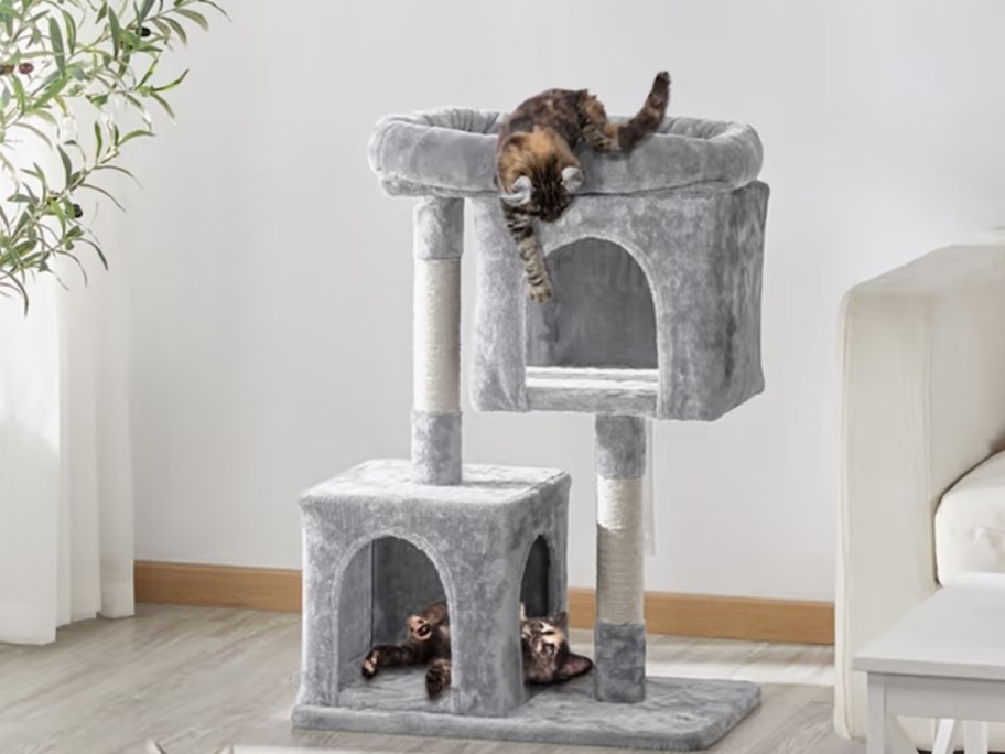 two kittens playing on a small grey cat tree in living room