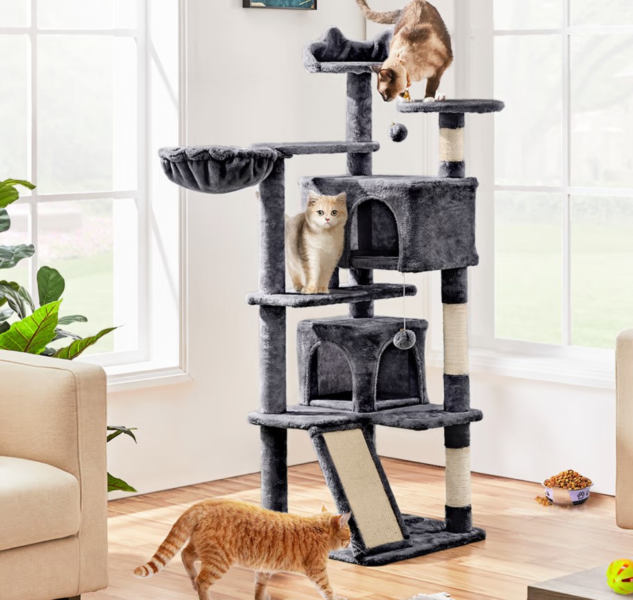4 cats hanging out on a black cat tree in a living room