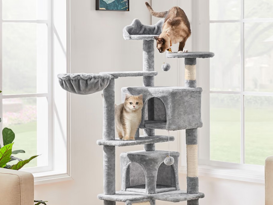 two cats on a grey cat tree in a living room