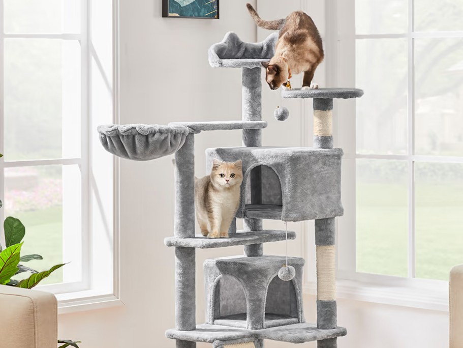 Large Cat Trees from $35.99 Shipped on Petco.online (Regularly $60)
