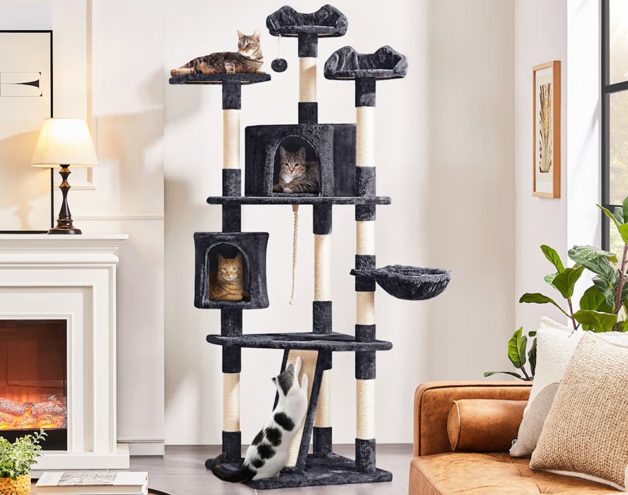 4 cats hanging out on a black cat tree in a living room