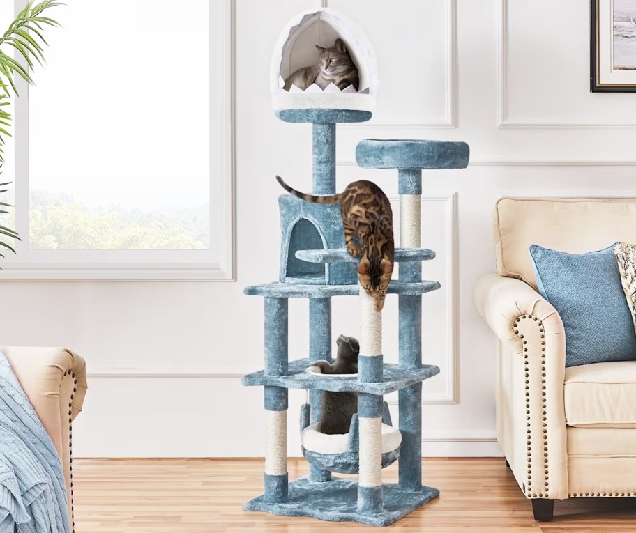 three cats playing on a blue cat tower in living room