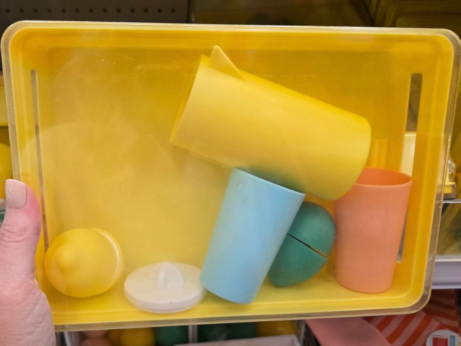 Lemonade Playset box in hand in store