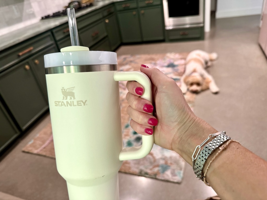 Hurry! Stanley 40oz Tumblers Down to $24.99 (Colors Going Fast!)