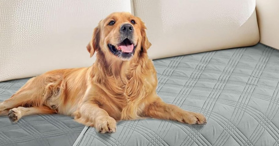 Waterproof Dog Blanket Just $5.99 on Amazon | Protect Your Sofa on the Cheap