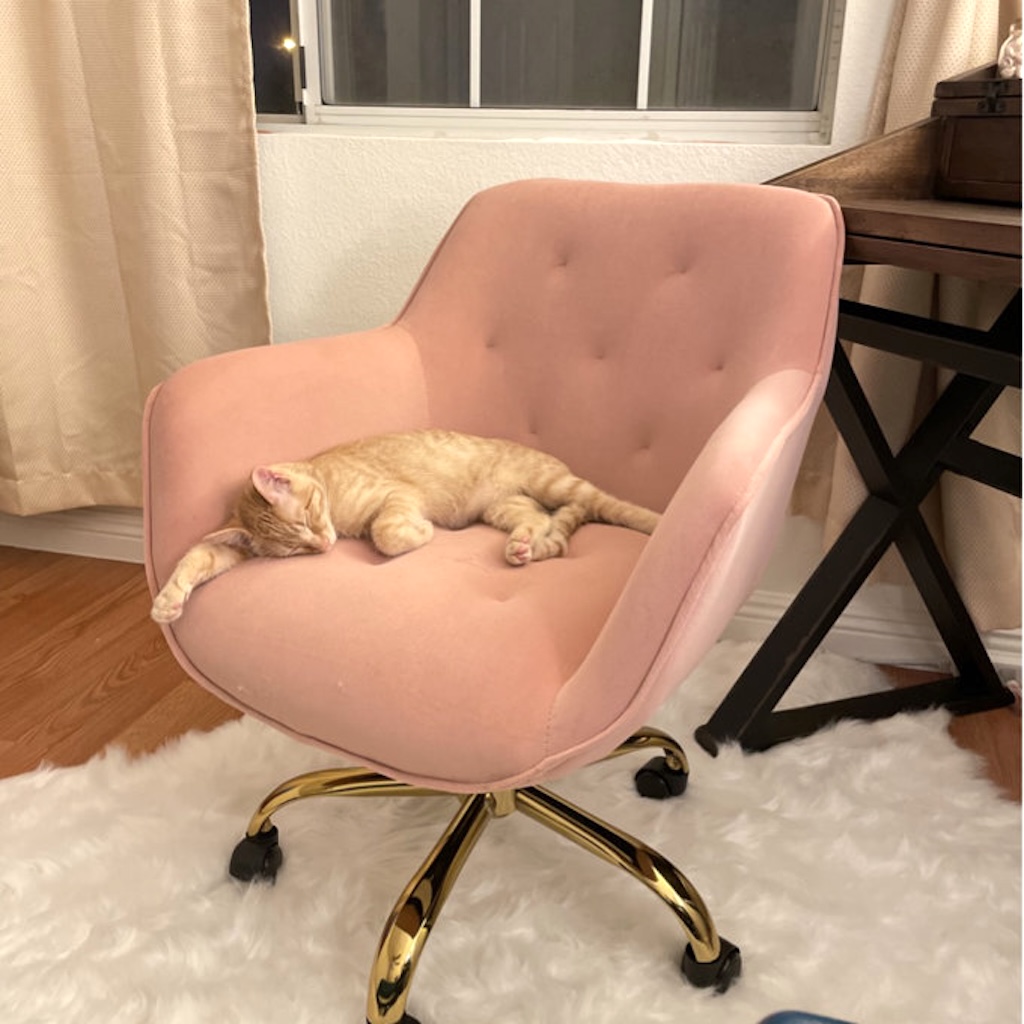 Up to 75% Off Wayfair Furniture Sale | Velvet Task Chair, Unique Coffee Tables & More!