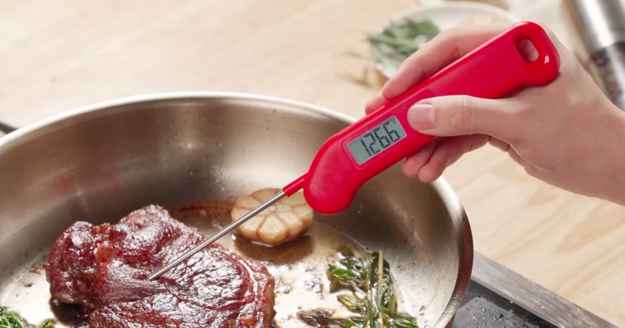 Digital Meat Thermometer Only $7.99 on Amazon | Father’s Day Gift Idea