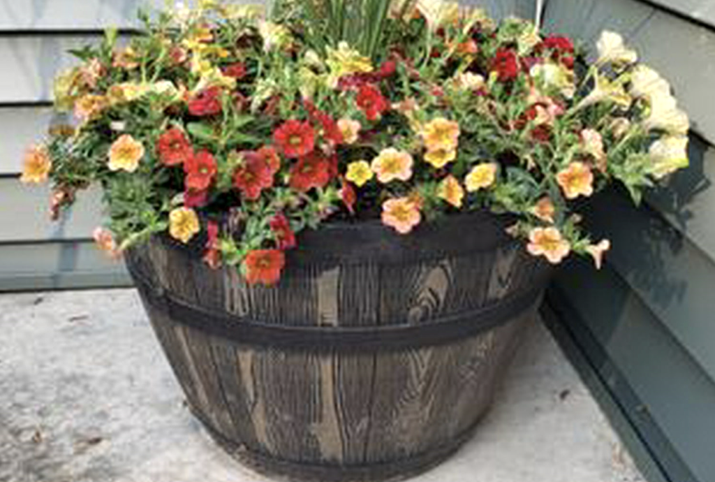 Better Homes & Gardens Whisky Barrel Planter JUST $11 on Walmart.online